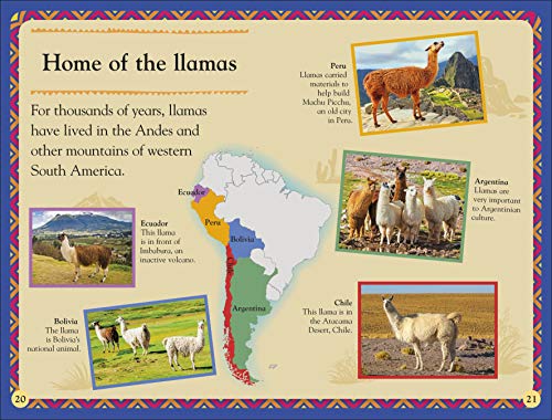 Llamas - Retail Maharaj