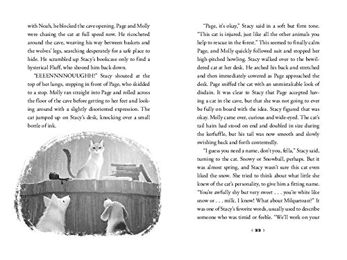 Wild Rescuers: Expedition on the Tundra: 3 (Wild Rescuers, 3) - Retail Maharaj