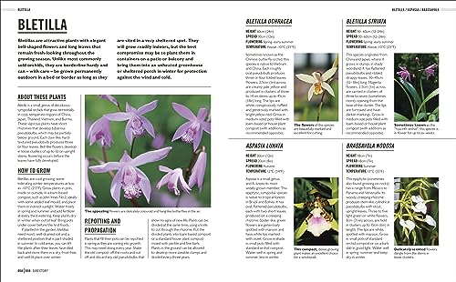 Grow Orchids: Essential Know-how and Expert Advice for Gardening Success - Retail Maharaj