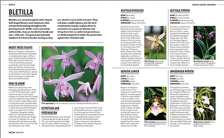 Grow Orchids: Essential Know-how and Expert Advice for Gardening Success - Retail Maharaj