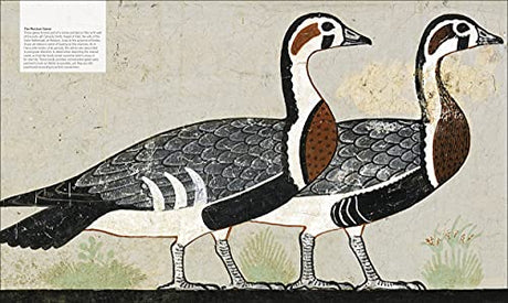 Ancient Egypt: The Definitive Visual History - Retail Maharaj