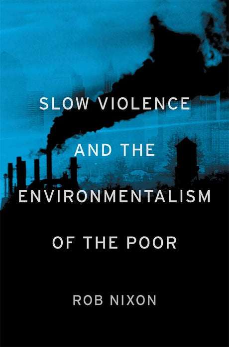 Slow Violence and the Environmentalism of the Poor - Retail Maharaj