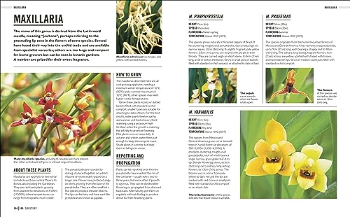 Grow Orchids: Essential Know-how and Expert Advice for Gardening Success - Retail Maharaj