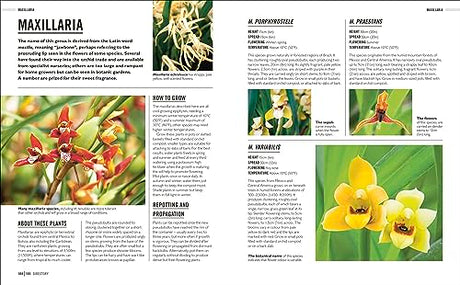 Grow Orchids: Essential Know-how and Expert Advice for Gardening Success - Retail Maharaj