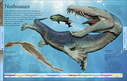 Dinosaurs A Children's Encyclopedia - Retail Maharaj