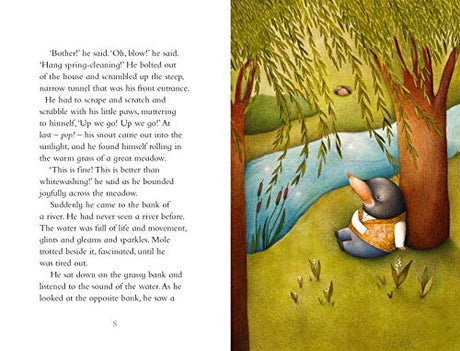 Ladybird Classics : The Wind in the Will - Retail Maharaj