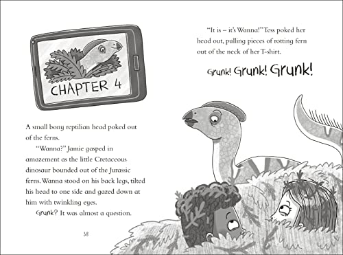 Dinosaur Club: Saving the Stegosaurus - Retail Maharaj