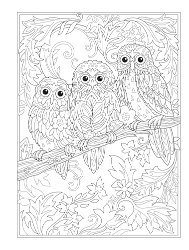 Creative Haven Birds and Blossoms Coloring Book - Retail Maharaj