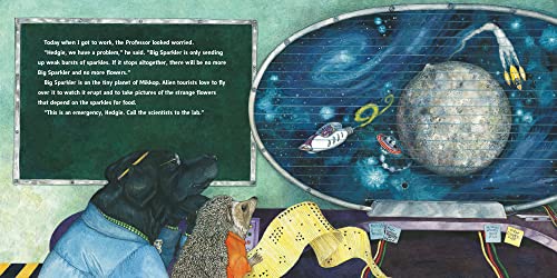 Hedgie Blasts Off! - Retail Maharaj