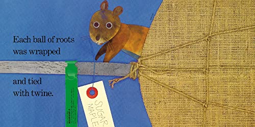 Red Leaf, Yellow Leaf - Retail Maharaj