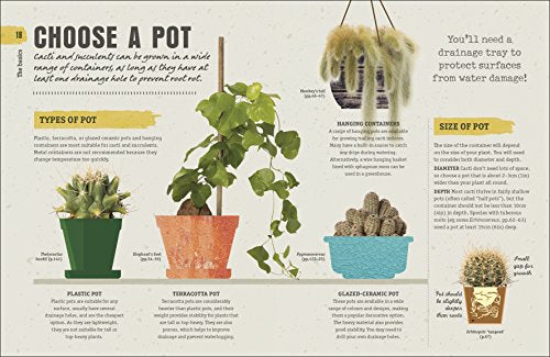 Happy Cactus - Retail Maharaj