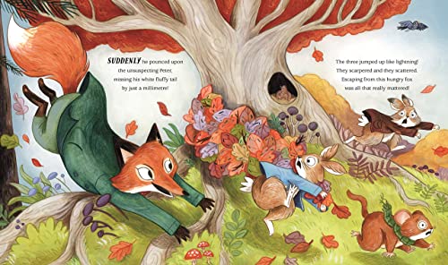 Peter Rabbit: Hide and Seek!: Inspired by Beatrix Potter's iconic character - Retail Maharaj