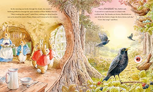 Peter Rabbit: Peter's Nature Walk: A Sound Book - Retail Maharaj