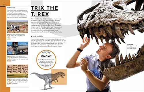 Behind the Scenes at the Museum: Your Access-All-Areas Guide to the World's Most Amazing Museums - Retail Maharaj