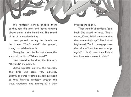 The Secret Explorers and the Smoking Volcano - Retail Maharaj