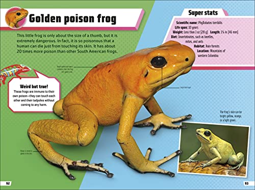 Animal Ultimate Handbook: The Need-to-Know Facts and Stats on More Than 200 Animals - Retail Maharaj