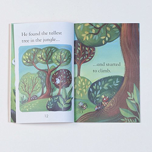 UFR LEVEL-1 ANANSI AND THE BAG OF WISDOM - Retail Maharaj