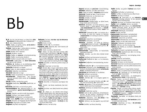 Spanish Dictionary and Grammar - Retail Maharaj