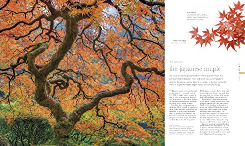 The Science of Plants: Inside their Secret World - Retail Maharaj