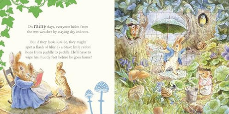 Peter Rabbit Jigsaw Book - Retail Maharaj