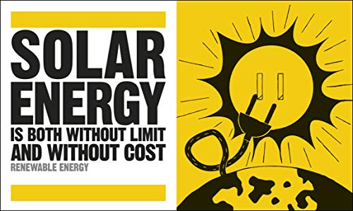 The Ecology Book ( Big Ideas) - Retail Maharaj