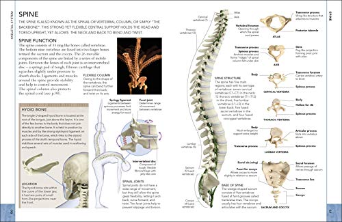 The Concise Human Body Book - Retail Maharaj