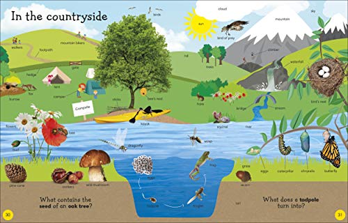 1000 Useful Words: Build Vocabulary and Literacy Skills (Vocabulary Builders) - Retail Maharaj