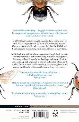 A Buzz in the Meadow - Retail Maharaj