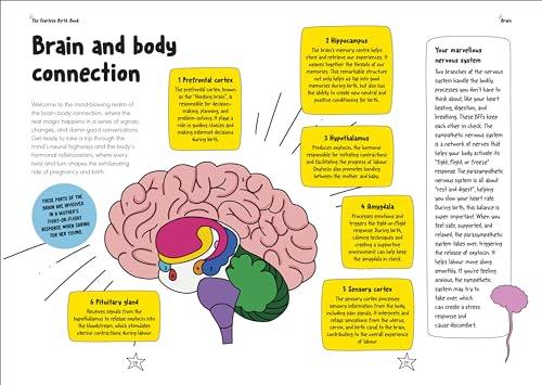 The Fearless Birth Book (The Naked Doula): Find Your Power, Influence Your Birth - Retail Maharaj