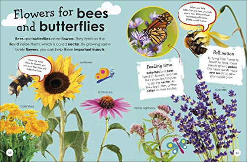 Look I'm An Ecologist (Look! I'm Learning) - Retail Maharaj