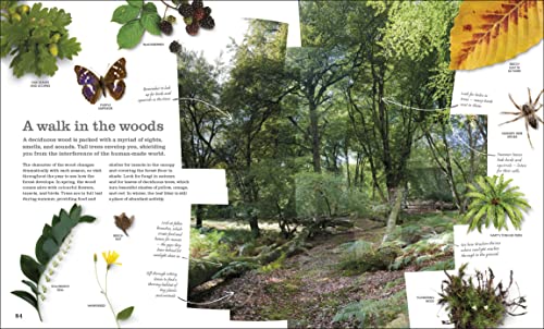 Chris Packham's Nature Handbook: Explore the Wonders of the Natural World - Retail Maharaj