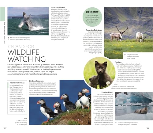 DK Iceland - Retail Maharaj