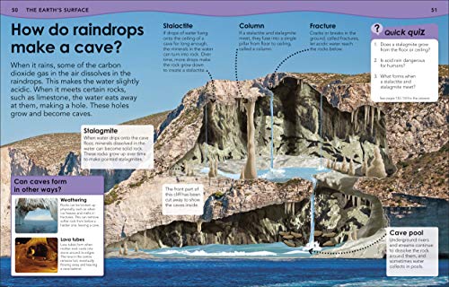 Why Does the Earth Need the Moon?: With 200 Amazing Questions About Our Planet (Why? Series) - Retail Maharaj