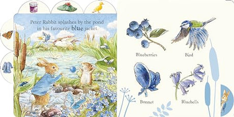 Peter Rabbit: First Colours: Tabbed Board Book - Retail Maharaj