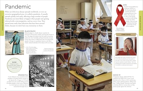 Human Body A Children's Encyclopedia - Retail Maharaj