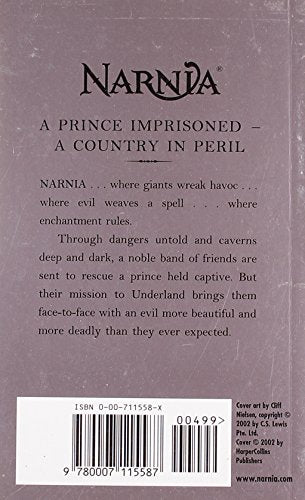 Silver Chair - Retail Maharaj