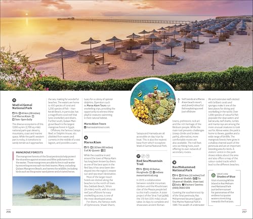 DK Egypt - Retail Maharaj