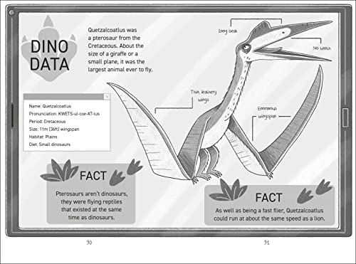 Dinosaur Club: The T-Rex Attack - Retail Maharaj