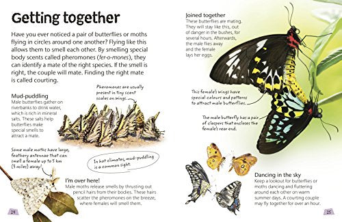 Butterflies and Moths: Explore Nature with Fun Facts and Activities (Nature Explorers) - Retail Maharaj
