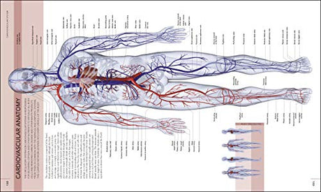 The Human Body Book - Retail Maharaj