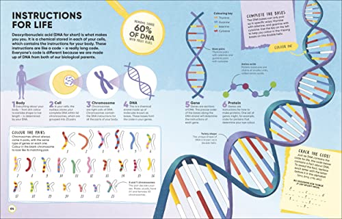 Brain Booster Human Body: Over 100 Mind-Boggling Activities that Make Learning Easy and Fun - Retail Maharaj