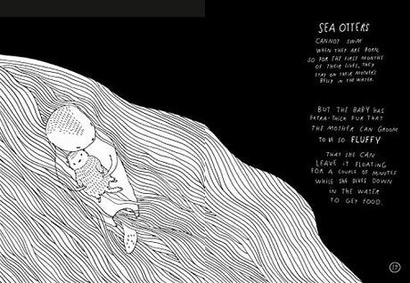 Baby Animals!: Amazing Adorable Facts - Retail Maharaj