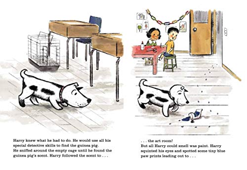 Harry and the Guinea Pig - Retail Maharaj