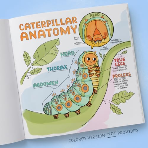 What's Inside a Garden?: Science and Nature Coloring Book: 40 Drawings to Color - Retail Maharaj