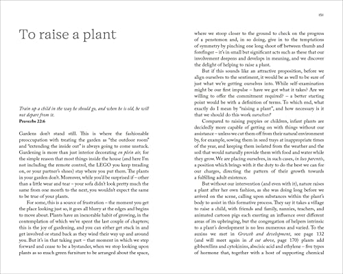 To Stand And Stare: How to Garden While Doing Next to Nothing - Retail Maharaj