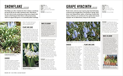 Grow Bulbs: Essential Know-how and Expert Advice for Gardening Success - Retail Maharaj