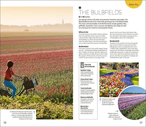 DK Amsterdam - Retail Maharaj