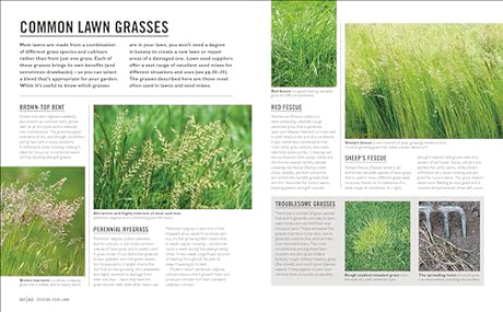 Grow Lawns: Essential Know-how and Expert Advice for Gardening Success - Retail Maharaj
