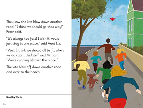 Key Words with Peter and Jane Level 9b – Peter's New Kite - Retail Maharaj