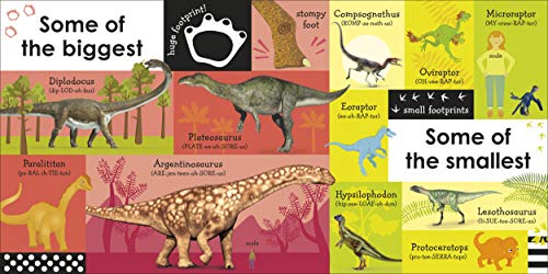 100 First Dinosaur Words - Retail Maharaj